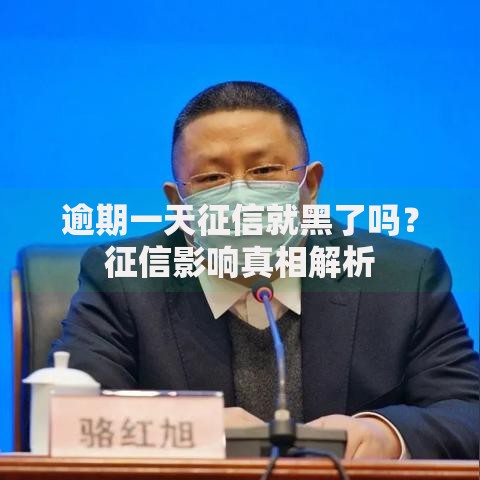 逾期一天征信就黑了吗？征信影响真相解析