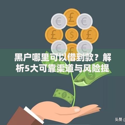 黑户哪里可以借到款？解析5大可靠渠道与风险提示