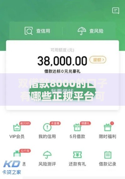 双借款8000的口子有哪些正规平台可申请？
