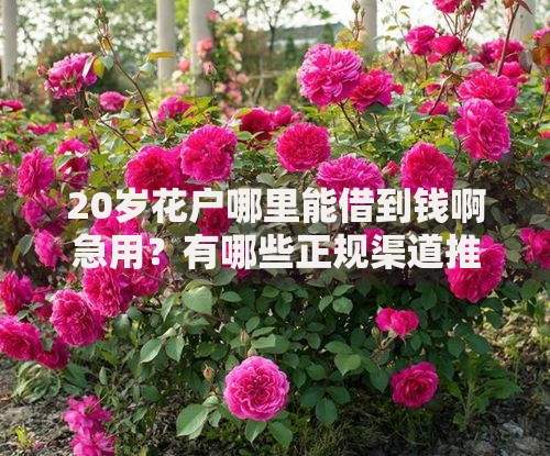 20岁花户哪里能借到钱啊急用?有哪些正规渠道推荐 20岁花户哪里能借到钱啊急用?有哪些正规渠道推荐