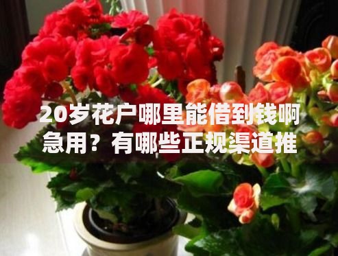 20岁花户哪里能借到钱啊急用?有哪些正规渠道推荐 20岁花户哪里能借到钱啊急用?有哪些正规渠道推荐