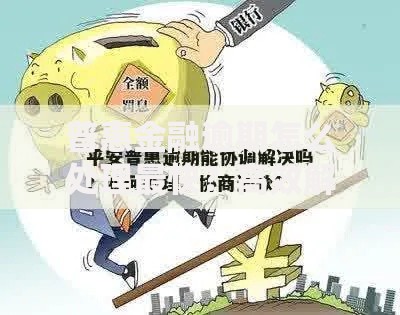 普惠金融逾期怎么处理最快？高效解决策略全解析