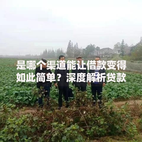 是哪个渠道能让借款变得如此简单？深度解析贷款新路径