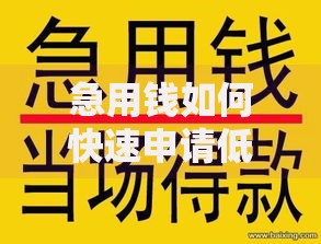 急用钱如何快速申请低息贷款?正规渠道与风险解析 急用钱如何快速申请低息贷款?正规渠道与风险解析
