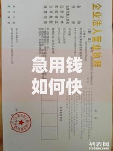 急用钱如何快速申请低息贷款?正规渠道与风险解析 急用钱如何快速申请低息贷款?正规渠道与风险解析