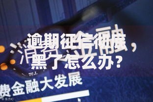 逾期征信彻底黑了怎么办?三步修复信用重获贷款资格 逾期征信彻底黑了怎么办?三步修复信用重获贷款资格