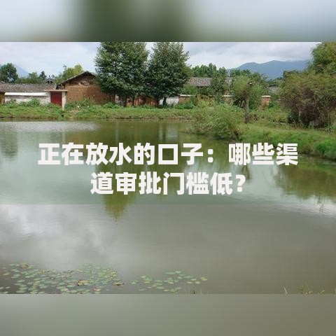 正在放水的口子：哪些渠道审批门槛低？