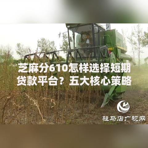 芝麻分610怎样选择短期贷款平台？五大核心策略解析