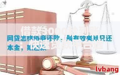 借款3000秒到账：快速贷款平台选择与注意事项解析