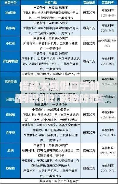 借款大额假口子如何识别？风险防范全解析