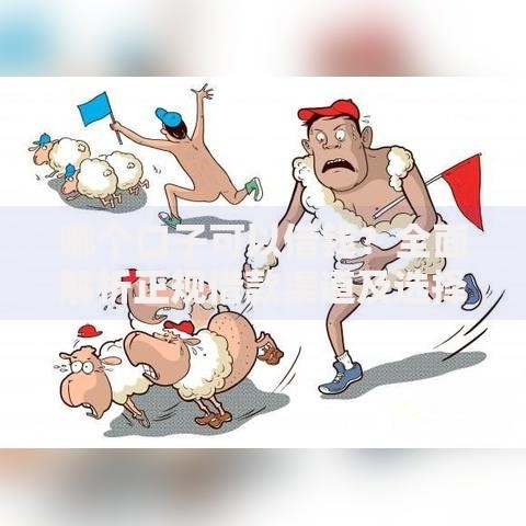 哪个口子可以借钱？全面解析正规借款渠道及选择技巧