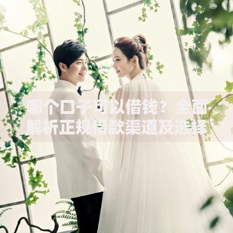 哪个口子可以借钱？全面解析正规借款渠道及选择技巧