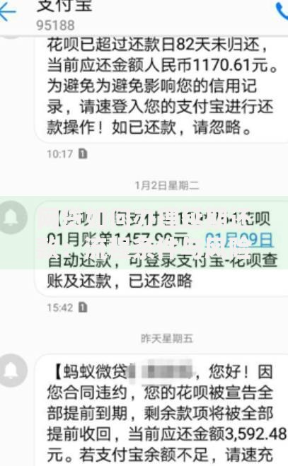 网贷如何办理延期还款：流程条件与风险解析