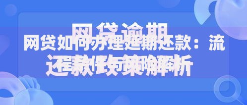网贷如何办理延期还款：流程条件与风险解析