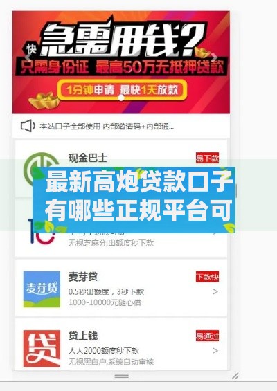 最新高炮贷款口子有哪些正规平台可申请？
