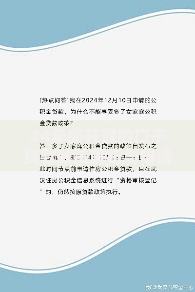 24年新开放的口子贷款政策解析与申请攻略