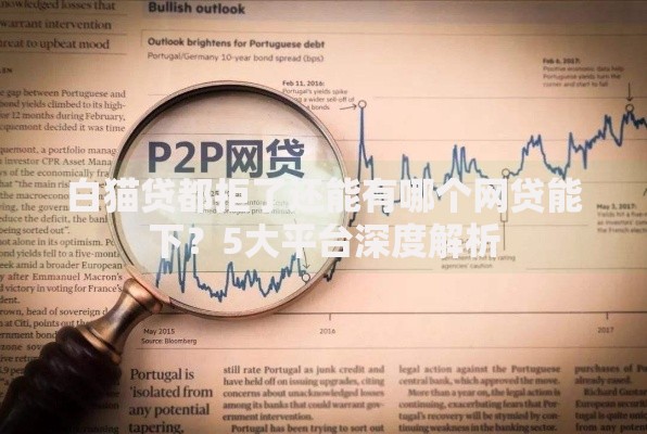 白猫贷都拒了还能有哪个网贷能下？5大平台深度解析