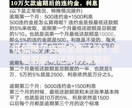 征信黑了贷款全要还吗？逾期后果与还款方案解析