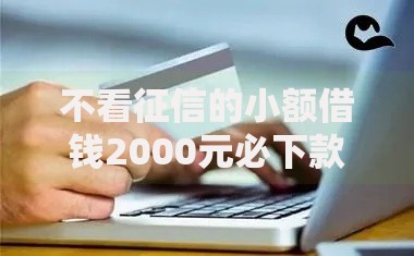 不看征信的小额借钱2000元必下款吗？真相与风险解析