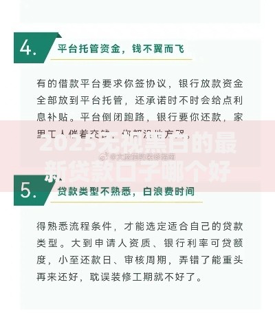 2025无视黑白的最新贷款口子哪个好？权威解析助你避坑