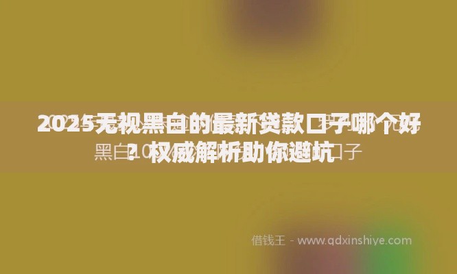 2025无视黑白的最新贷款口子哪个好？权威解析助你避坑