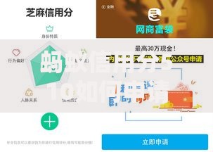 蚂蚁信用分510如何申请汽车贷款？详解低分贷款攻略与流程