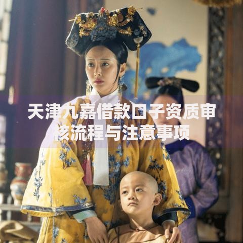 天津九嘉借款口子资质审核流程与注意事项