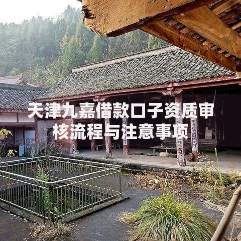 天津九嘉借款口子资质审核流程与注意事项