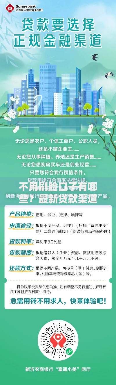 不用刷脸口子有哪些？最新贷款渠道深度解析