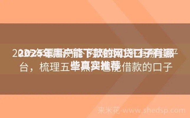 2025年黑户能下款的网贷口子有哪些真实推荐