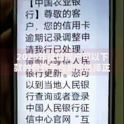 2025年征信黑户可以下款的借款平台如何选择正规渠道