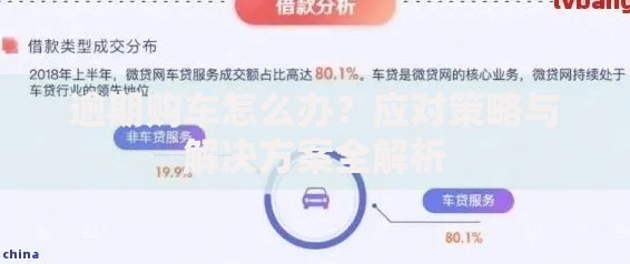 逾期购车怎么办？应对策略与解决方案全解析