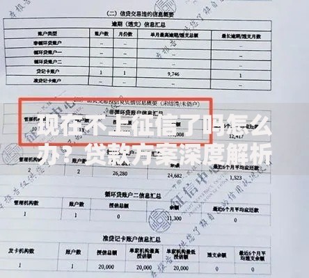 现在不上征信了吗怎么办？贷款方案深度解析