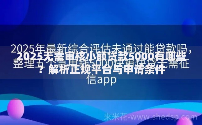 2025无需审核小额贷款5000有哪些？解析正规平台与申请条件