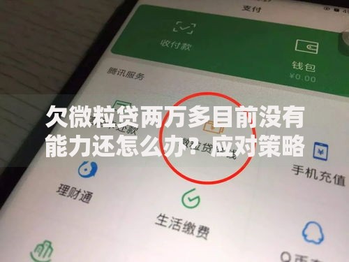 欠微粒贷两万多目前没有能力还怎么办？应对策略与解决途径解析