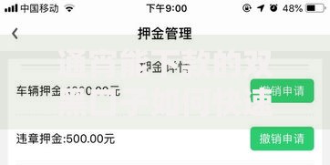 通宵能下款的双黑口子如何快速申请？