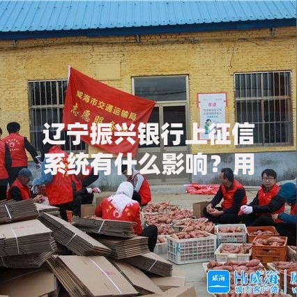 辽宁振兴银行上征信系统有什么影响？用户必知要点解析
