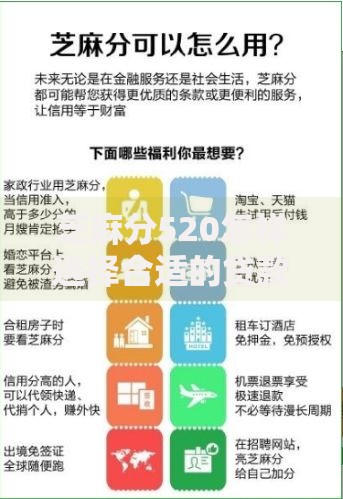 芝麻分520怎样选择合适的贷款期限？三大技巧助你决策