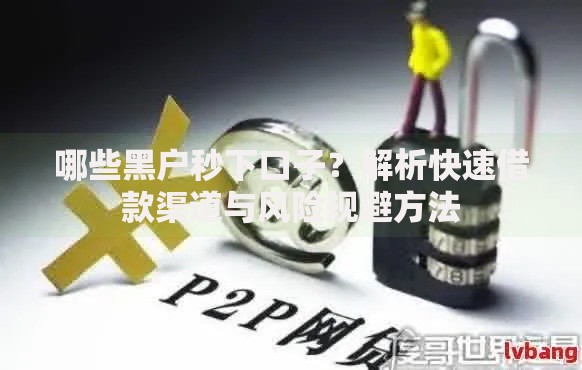 哪些黑户秒下口子？解析快速借款渠道与风险规避方法