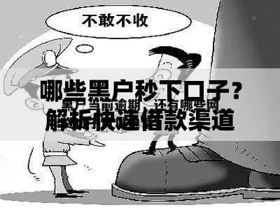 哪些黑户秒下口子？解析快速借款渠道与风险规避方法