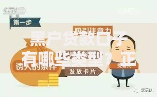 黑户贷款口子有哪些类型？正规渠道与风险解析