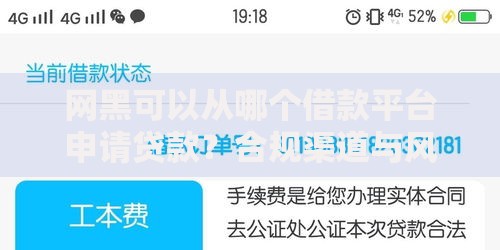 网黑可以从哪个借款平台申请贷款？合规渠道与风险解析