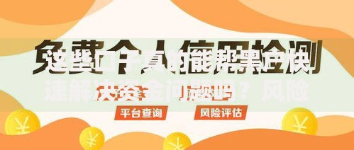 这些口子真的能帮黑户快速解决资金问题吗？风险与真相揭秘