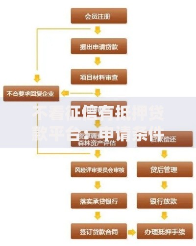 不看征信有抵押贷款平台：申请条件与流程全解析