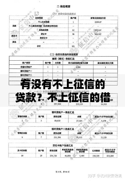 有没有不上征信的贷款？不上征信的借贷渠道全解析