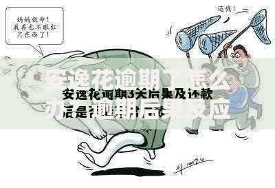 安逸花逾期了怎么办？逾期后果及应对策略解析