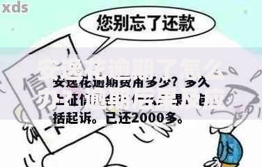 安逸花逾期了怎么办？逾期后果及应对策略解析
