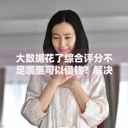 大数据花了综合评分不足哪里可以借钱？解决方案及正规渠道推荐