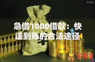 急借1000借款：快速到账的合法途径有哪些？