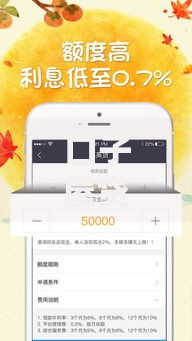 口子屋贷款在哪里申请？正规渠道流程详解